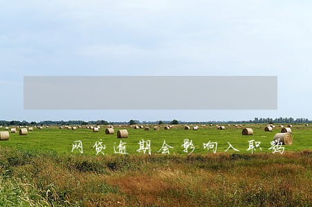 网贷逾期会影响入职嘛 网贷逾期会影响入职嘛