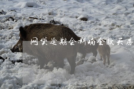 网贷逾期会影响全款买房吗 网贷逾期会影响全款买房吗