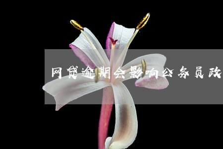 网贷逾期会影响公务员政审吗 网贷逾期会影响公务员政审吗