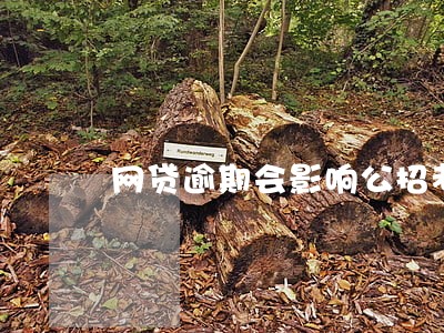 网贷逾期会影响公招考试政审吗 网贷逾期会影响公招考试政审吗