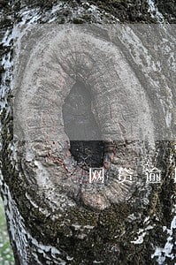 网贷逾期会影响其他信用卡吗 网贷逾期会影响其他信用卡吗