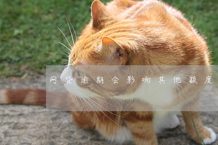 网贷逾期会影响其他额度吗