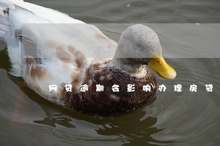网贷逾期会影响办理房贷吗 网贷逾期会影响办理房贷吗