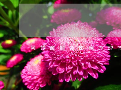 网贷逾期会影响办理签证嘛 网贷逾期会影响办理签证嘛