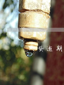 网贷逾期会影响医疗保险 网贷逾期会影响医疗保险
