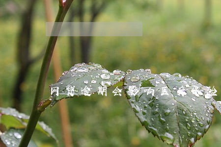网贷逾期会影响医疗保险吗 网贷逾期会影响医疗保险吗