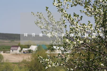 网贷逾期会影响卖机票吗 网贷逾期会影响卖机票吗