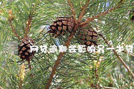 网贷逾期会影响另一半贷款吗 网贷逾期会影响另一半贷款吗