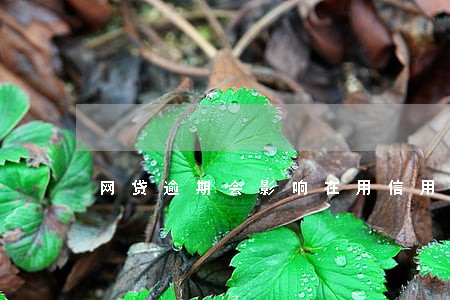 网贷逾期会影响在用信用卡吗 网贷逾期会影响在用信用卡吗
