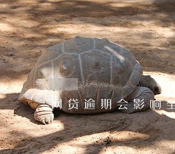 网贷逾期会影响坐大巴吗 网贷逾期会影响坐大巴吗