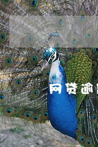 网贷逾期会影响妹妹 网贷逾期会影响妹妹