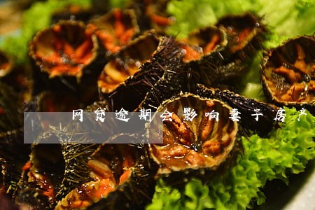 网贷逾期会影响妻子房产吗 网贷逾期会影响妻子房产吗