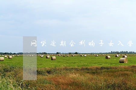 网贷逾期会影响子女入学吗 网贷逾期会影响子女入学吗