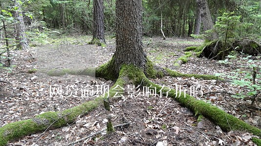 网贷逾期会影响存折吗 网贷逾期会影响存折吗