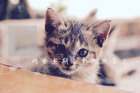 网贷逾期会影响孩子上小学吗 网贷逾期会影响孩子上小学吗