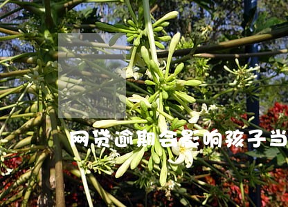 网贷逾期会影响孩子当兵么 网贷逾期会影响孩子当兵么