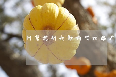网贷逾期会影响对公账户吗 网贷逾期会影响对公账户吗