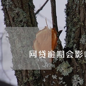 网贷逾期会影响对象吗 网贷逾期会影响对象吗