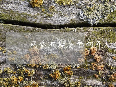 网贷逾期会影响开个体户么 网贷逾期会影响开个体户么