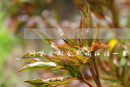 网贷逾期会影响征信一辈子吗 网贷逾期会影响征信一辈子吗