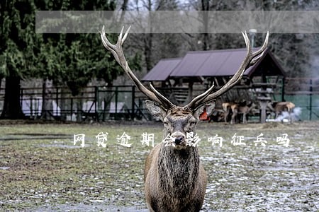 网贷逾期会影响征兵吗 网贷逾期会影响征兵吗