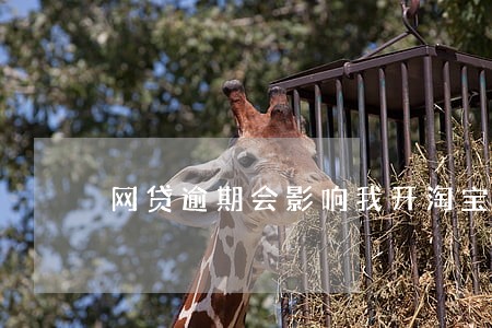 网贷逾期会影响我开淘宝店吗 网贷逾期会影响我开淘宝店吗