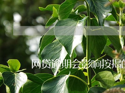 网贷逾期会影响按揭的房子吗 网贷逾期会影响按揭的房子吗