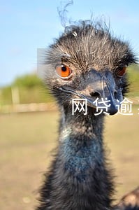 网贷逾期会影响支付宝借钱 网贷逾期会影响支付宝借钱