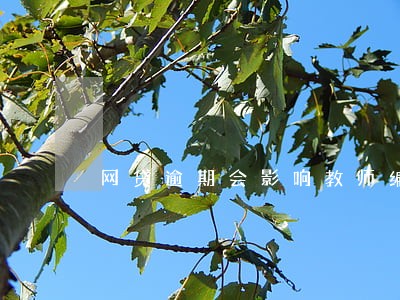 网贷逾期会影响教师编考试吗