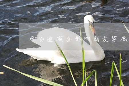 网贷逾期会影响朋友家低保吗 网贷逾期会影响朋友家低保吗