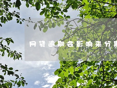 网贷逾期会影响来分期吗 网贷逾期会影响来分期吗