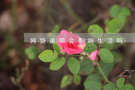 网贷逾期会影响生活吗 网贷逾期会影响生活吗