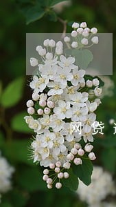 网贷逾期会影响生源地贷款吗 网贷逾期会影响生源地贷款吗