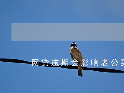 网贷逾期会影响老公买车吗 网贷逾期会影响老公买车吗