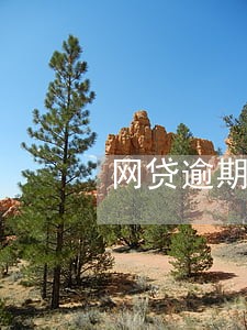 网贷逾期会影响老公吗 网贷逾期会影响老公吗