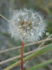 网贷逾期会影响老婆办信用卡吗 网贷逾期会影响老婆办信用卡吗