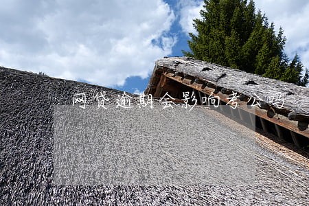 网贷逾期会影响考公吗