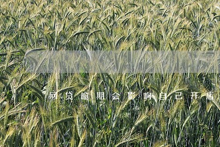 网贷逾期会影响自己开店嘛 网贷逾期会影响自己开店嘛