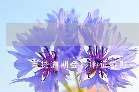 网贷逾期会影响证券账号吗 网贷逾期会影响证券账号吗