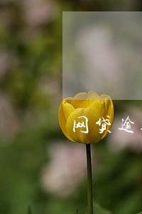 网贷逾期会影响车贷审批吗 网贷逾期会影响车贷审批吗