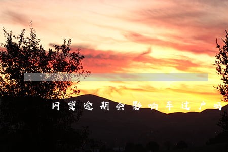 网贷逾期会影响车过户吗 网贷逾期会影响车过户吗