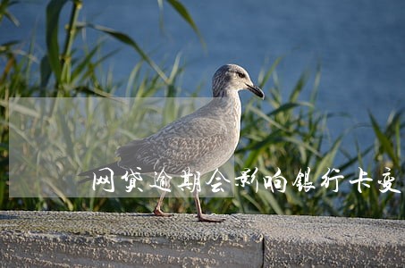 网贷逾期会影响银行卡变异常吗