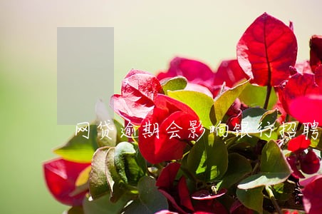 网贷逾期会影响银行招聘吗