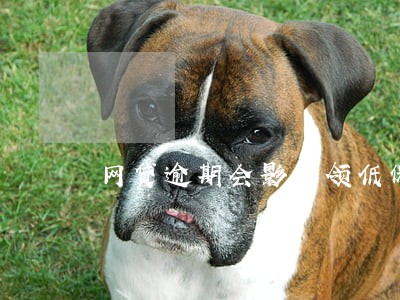网贷逾期会影响领低保吗 网贷逾期会影响领低保吗