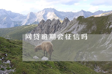 网贷逾期会征信吗 网贷逾期会征信吗