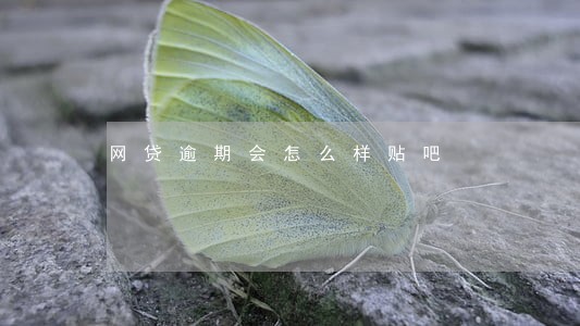 网贷逾期会怎么样贴吧 网贷逾期会怎么样贴吧