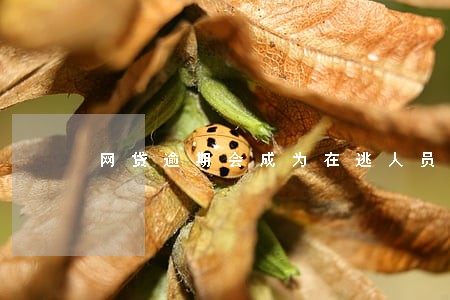 网贷逾期会成为在逃人员吗 网贷逾期会成为在逃人员吗