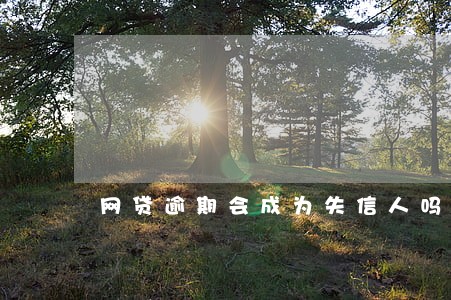 网贷逾期会成为失信人吗 网贷逾期会成为失信人吗