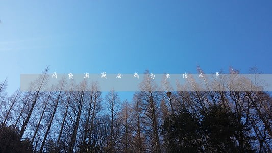 网贷逾期会成为失信人员 网贷逾期会成为失信人员