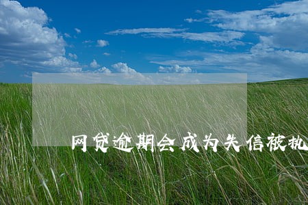 网贷逾期会成为失信被执行人